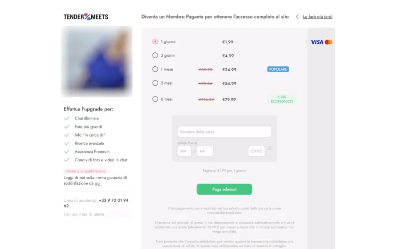 TenderMeets.com costi