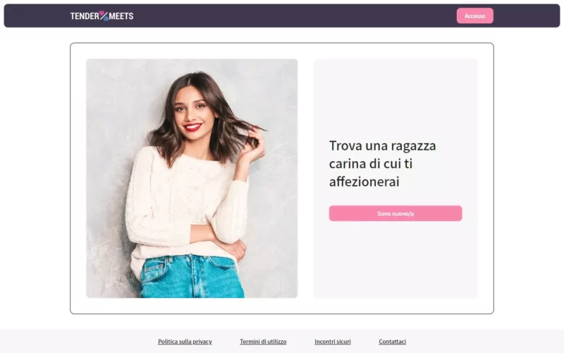TenderMeets.com landing page