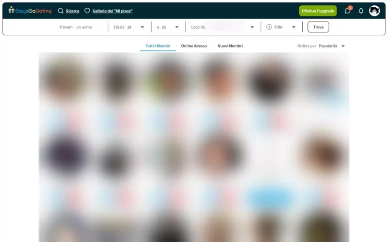 GaysGoDating.com area personale