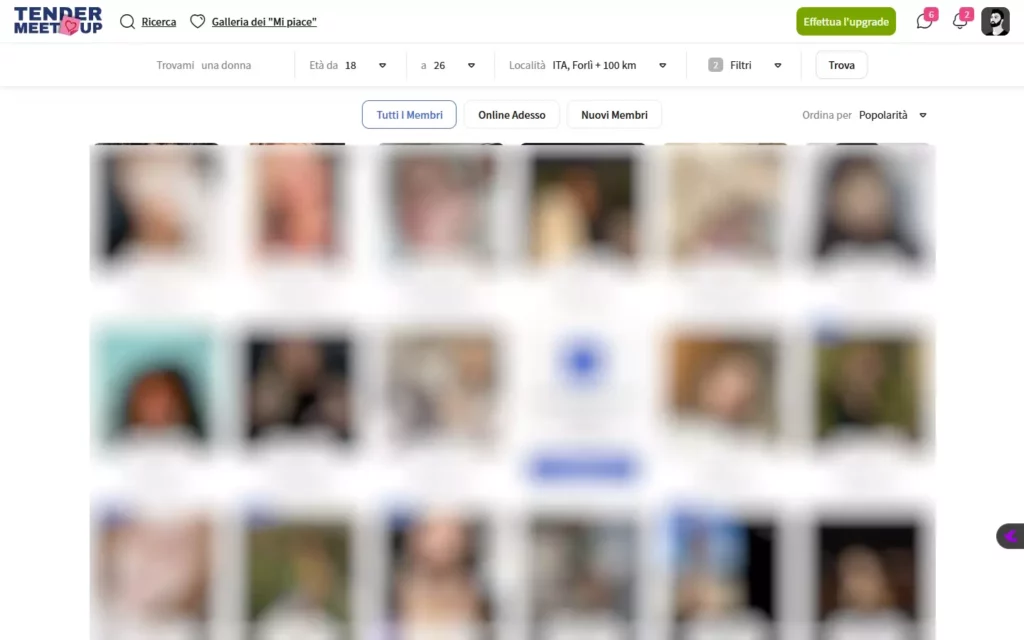 TenderMeetup.com - members area