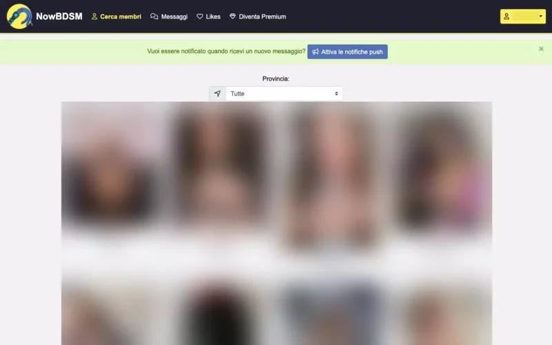 NowBDSM.it Area Utenti