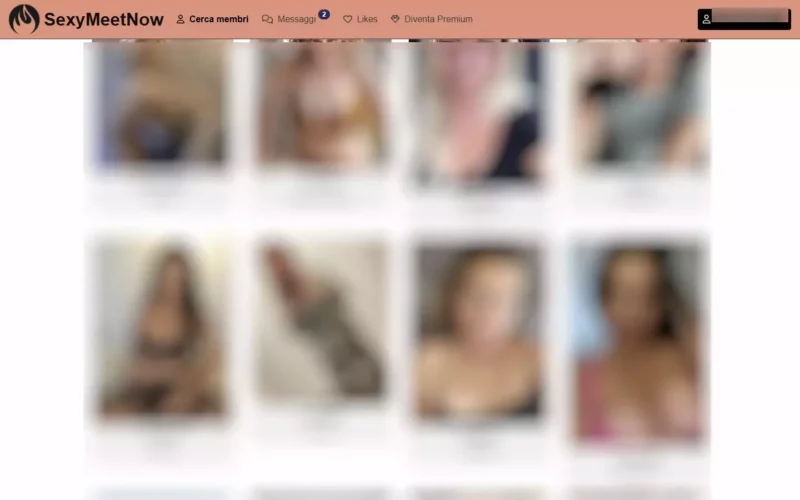 SexyMeetNow.com area personale