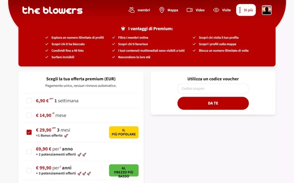 Theblowers.com Kosten (1)